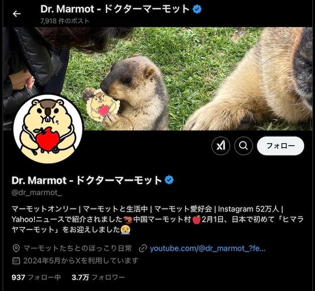 Dr. Marmot - ドクターマーモット氏のXアカウント