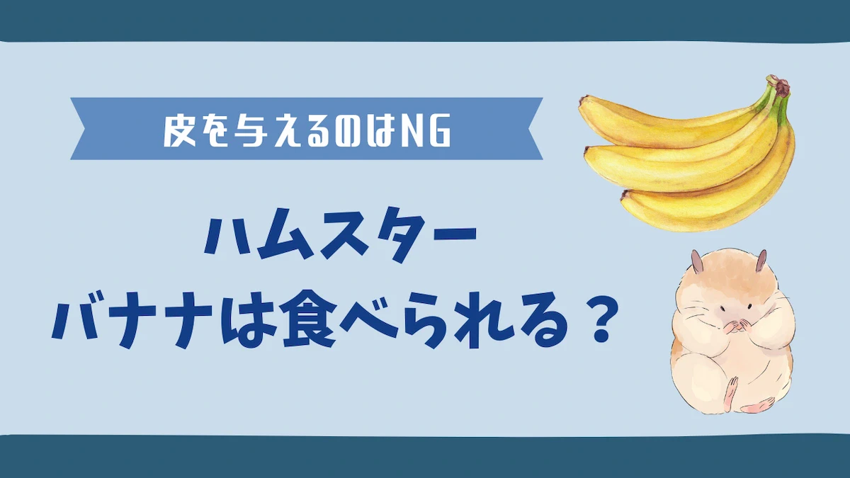 ハムスターはバナナを食べられる？与えるメリットと注意点とは