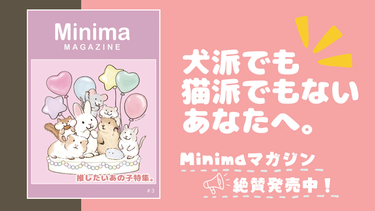 『Minimaマガジン』第3号発売中