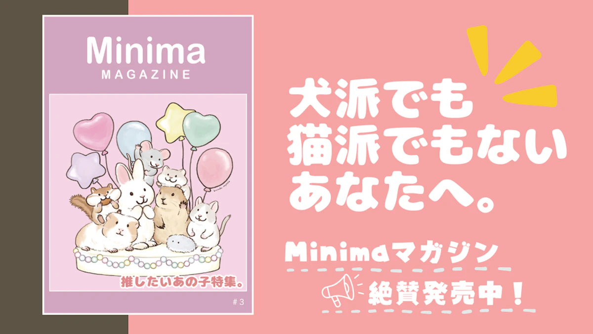 『Minimaマガジン』第3号発売中