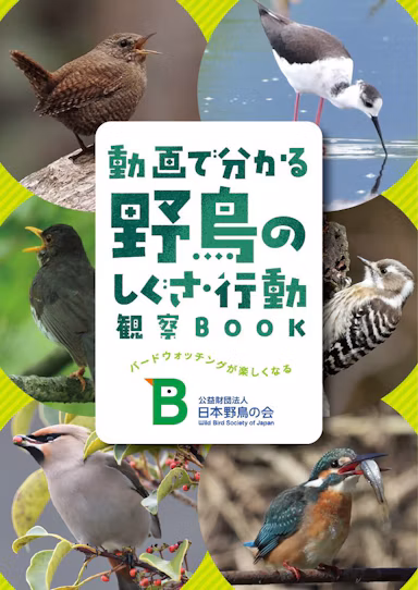 日本野鳥の会、動画で学ぶ野鳥観察BOOKを無料配布開始のサムネイル画像