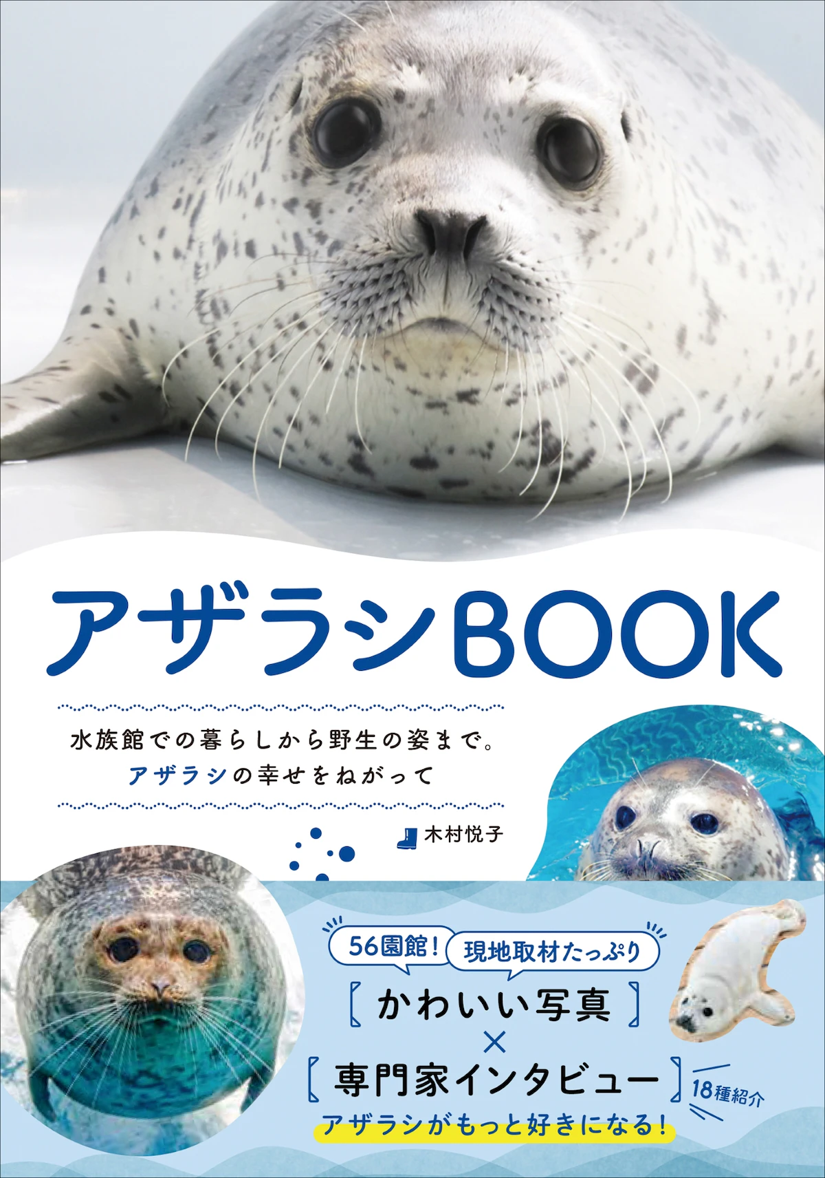 アザラシの知られざる魅力に迫る『アザラシBOOK』6月発売