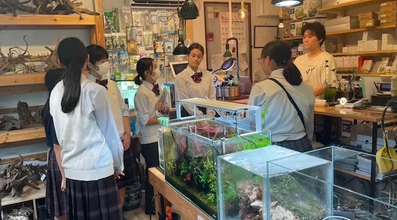 アクアリウムショップで指導を受ける学生たち