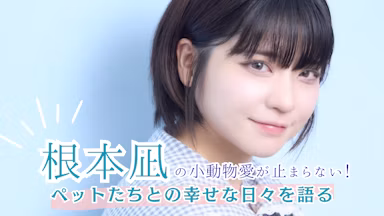 根本凪の小動物愛が止まらない!デグー、チンチラ、ジャービル…ペットとの幸せな日々を語るのサムネイル画像