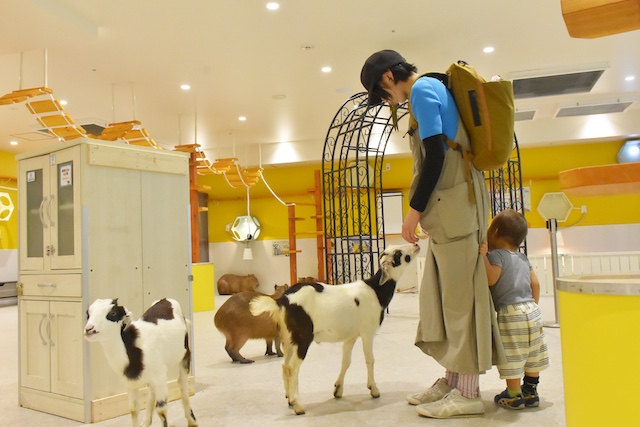 都会のオアシス