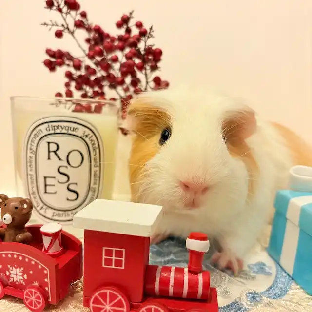 今回のベストショット
