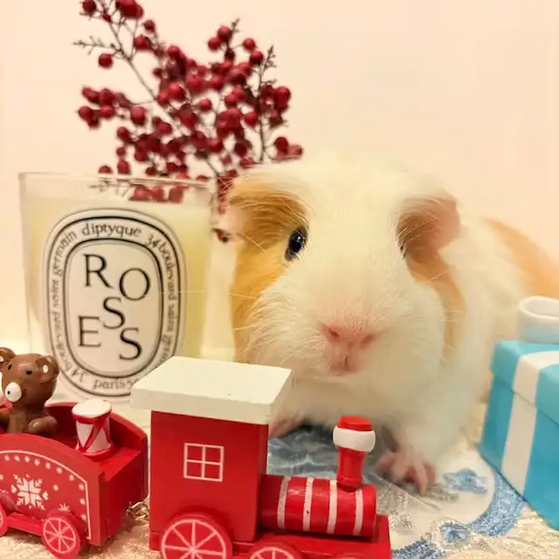 今回のベストショット