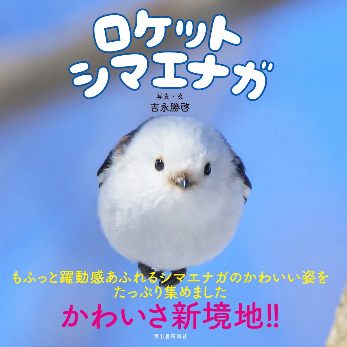 シマエナガの躍動的な姿を収めた写真集『ロケットシマエナガ』12月23日