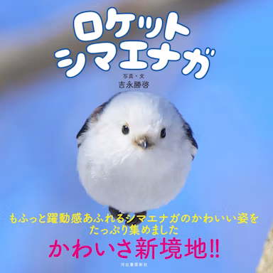 シマエナガの躍動的な姿を収めた写真集『ロケットシマエナガ』12月23日発売のサムネイル画像