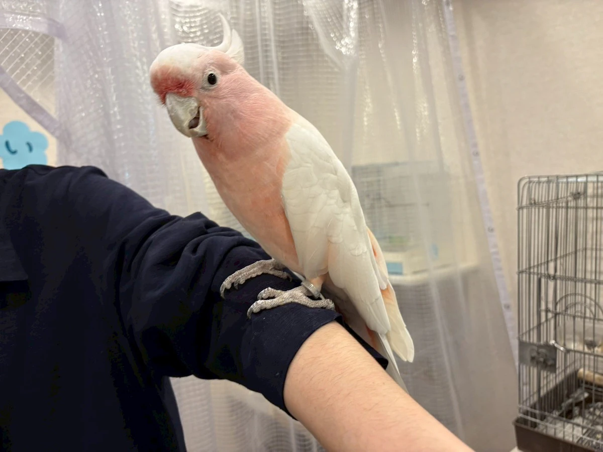 「ふれあいスタッフ」との特別な時間