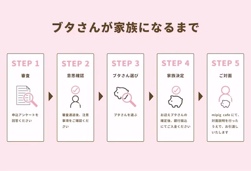 マイクロブタが家族になるまでの図