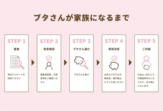 マイクロブタが家族になるまでの図