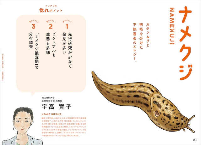 ナメクジ