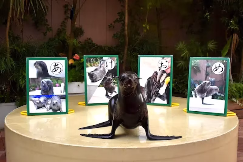 お正月コンテンツ