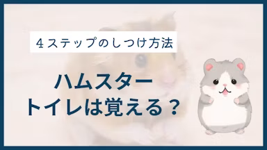ハムスターはトイレを覚える？ 習性を活かしたしつけ方法を解説のサムネイル画像