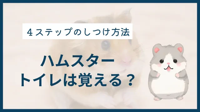 ハムスターはトイレを覚える？ 習性を活かしたしつけ方法を解説のサムネイル画像