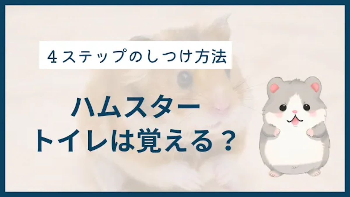 ハムスターはトイレを覚える？ 習性を活かしたしつけ方法を解説