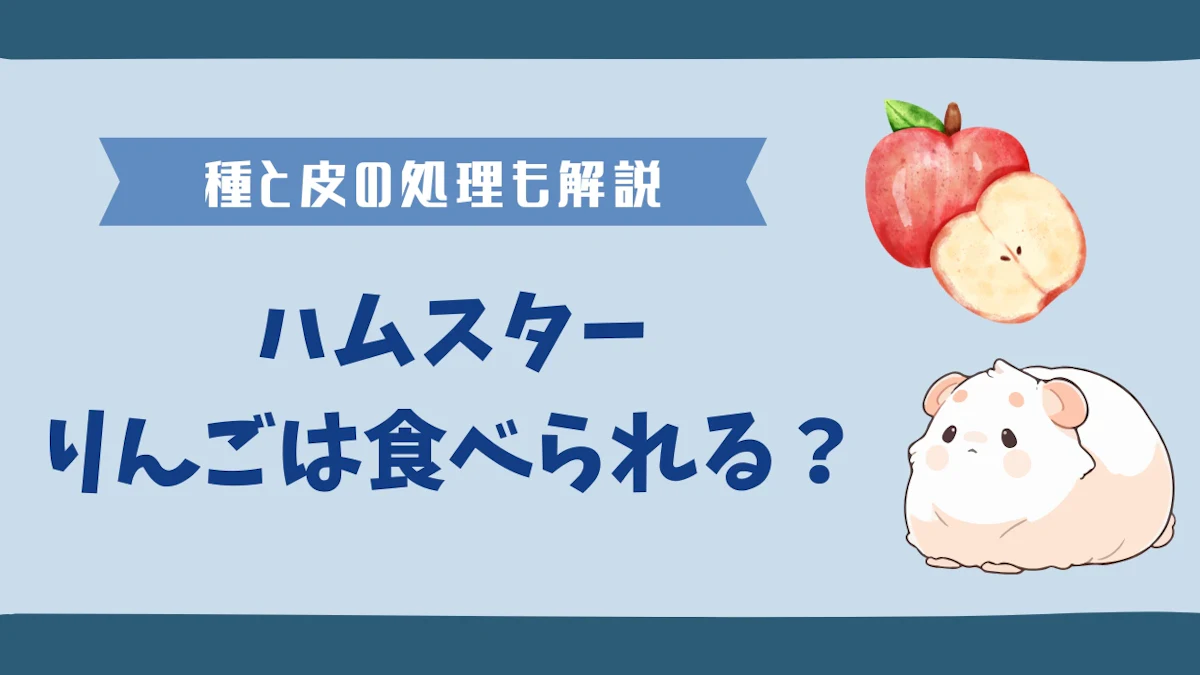 ハムスターはりんごを食べられる｜種の毒性には注意が必要