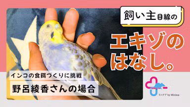 愛鳥「ぐれー」が教えてくれた、鳥の食餌のこと。獣医学を学び、インコのオリジナルフード開発へ【エキゾのはなし。#14】のサムネイル画像
