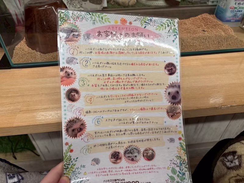 マニュアル