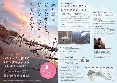 井の頭自然文化園で水辺保全講演会「ハクチョウと旅するスワンプロジェクト」開催のサムネイル画像