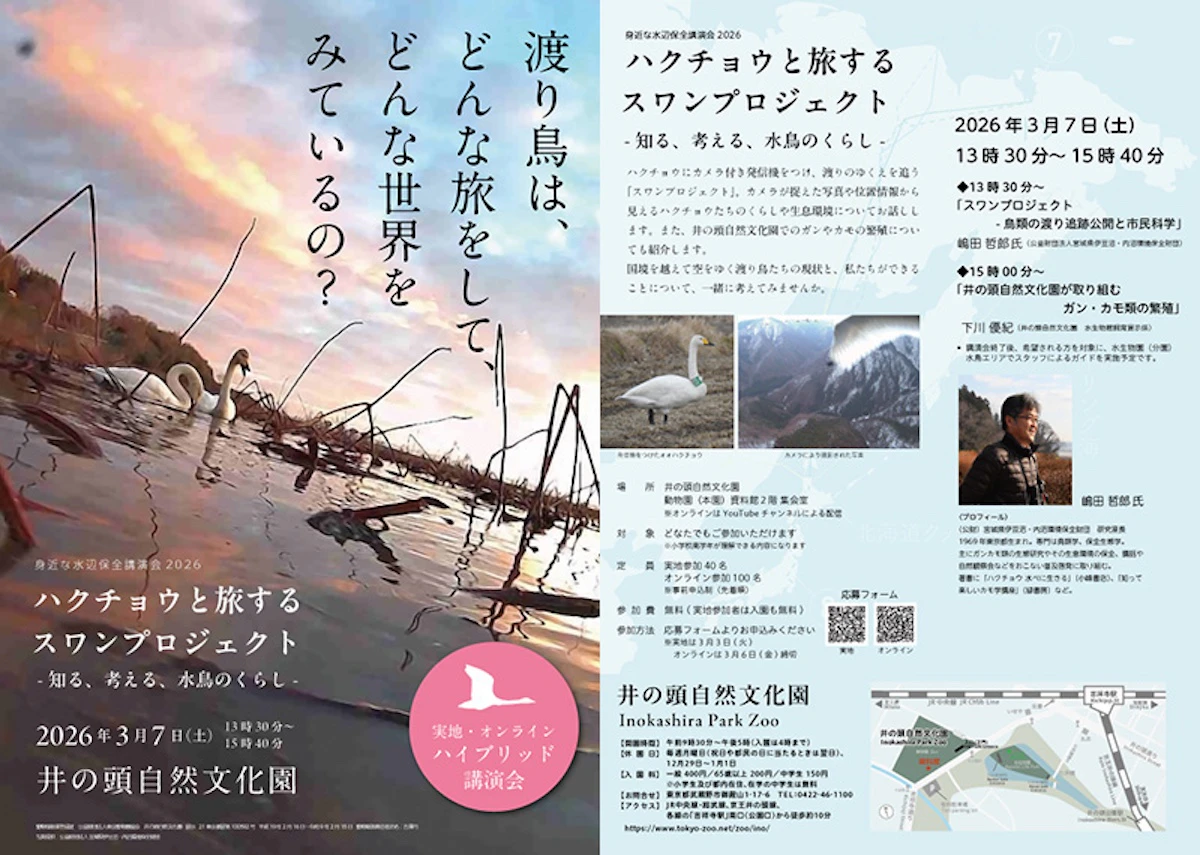 井の頭自然文化園で水辺保全講演会「ハクチョウと旅するスワンプロジェクト」開催のサムネイル画像