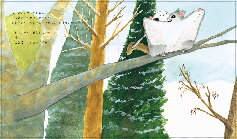 シマエナガとエゾモモンガが主人公の絵本『シマちゃんモモちゃん もり