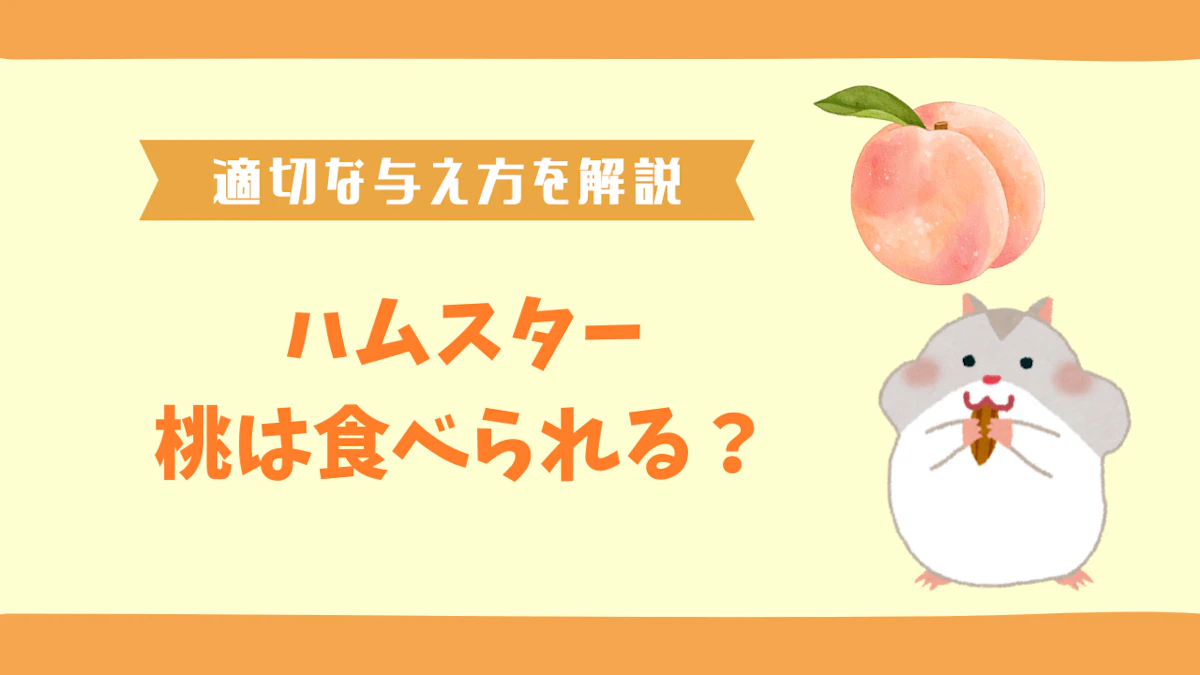 ハムスターは桃を食べられる？適切な与え方と注意点を解説