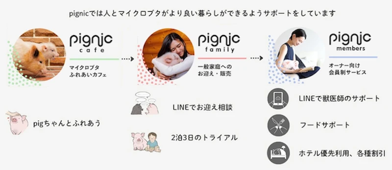 pignic cafe 事業