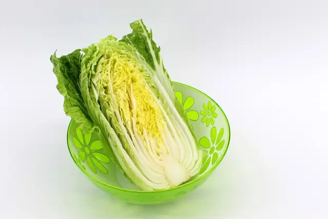 白菜