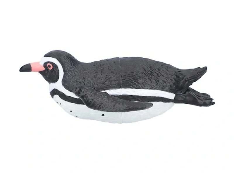 フンボルトペンギン