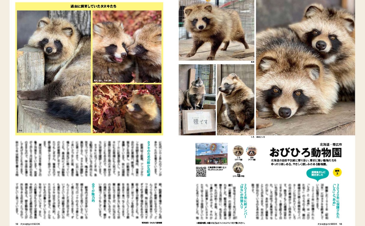 タヌキの生態や魅力を解説！『タヌキまるごとBOOK』が発売｜Minima