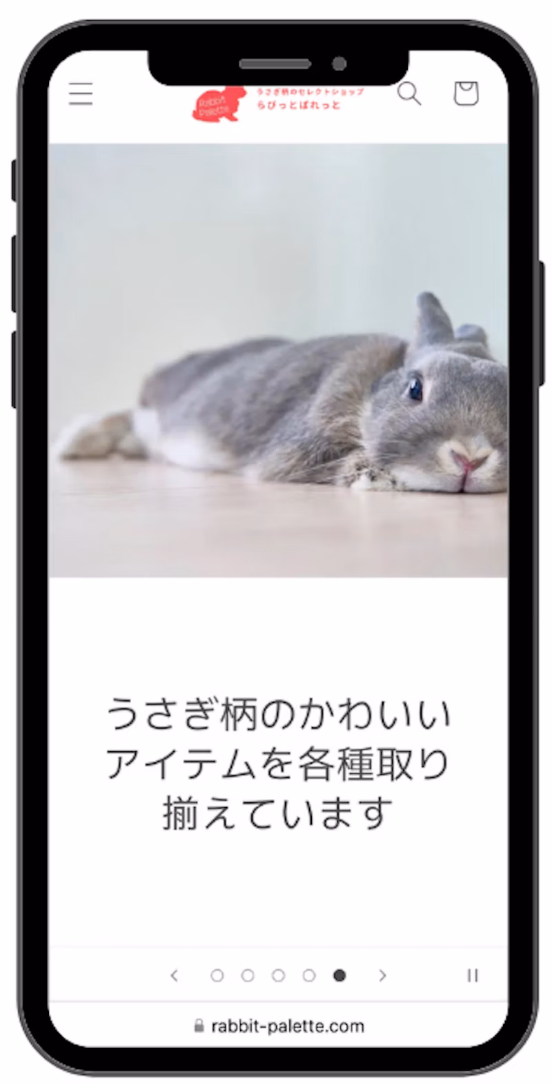 「らびっとぱれっと」について