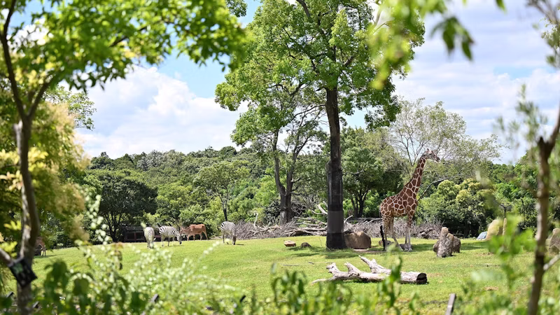 写真／よこはま動物園ズーラシア