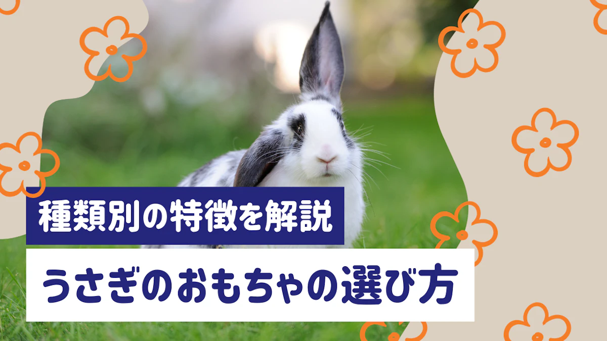うさぎのおもちゃの選び方ガイド｜種類別の特徴と安全に遊ばせるコツのサムネイル画像