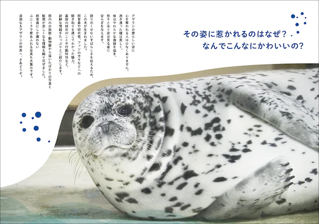 心をわしづかみにされている人、急上昇中！
