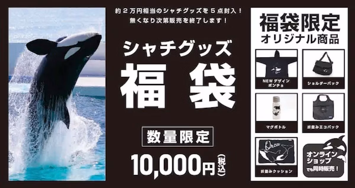 【2025福袋】鴨川シーワールド、シャチモチーフの限定アイテム5点｜12月12日から発売