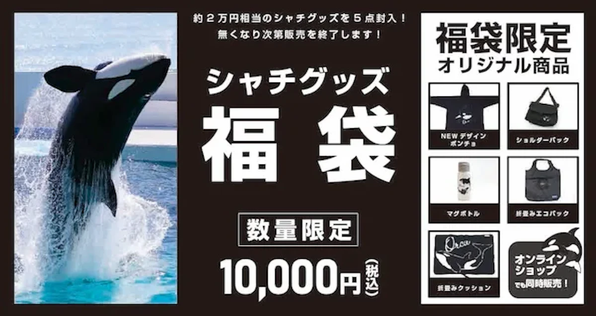 【2025福袋】鴨川シーワールド、シャチモチーフの限定アイテム5点｜12月12日から発売