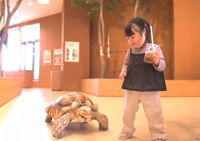 亀と子供