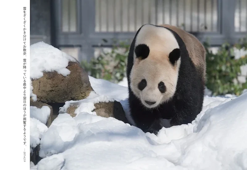 本書p.37より。雪の日のリーリー。