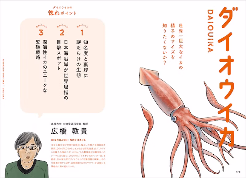 ダイオウイカ