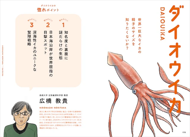 ダイオウイカ