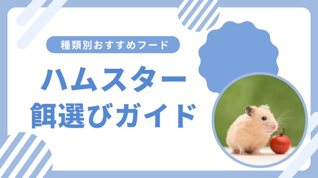 ハムスターの餌選び完全ガイド｜種類別おすすめフードと与え方のコツのサムネイル画像