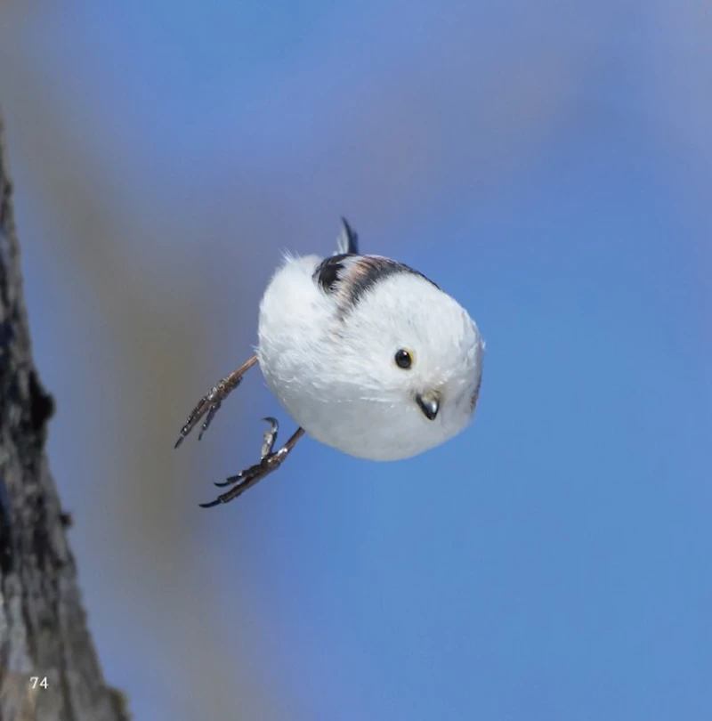 しゅっぱつしんこう！（・⊝・）