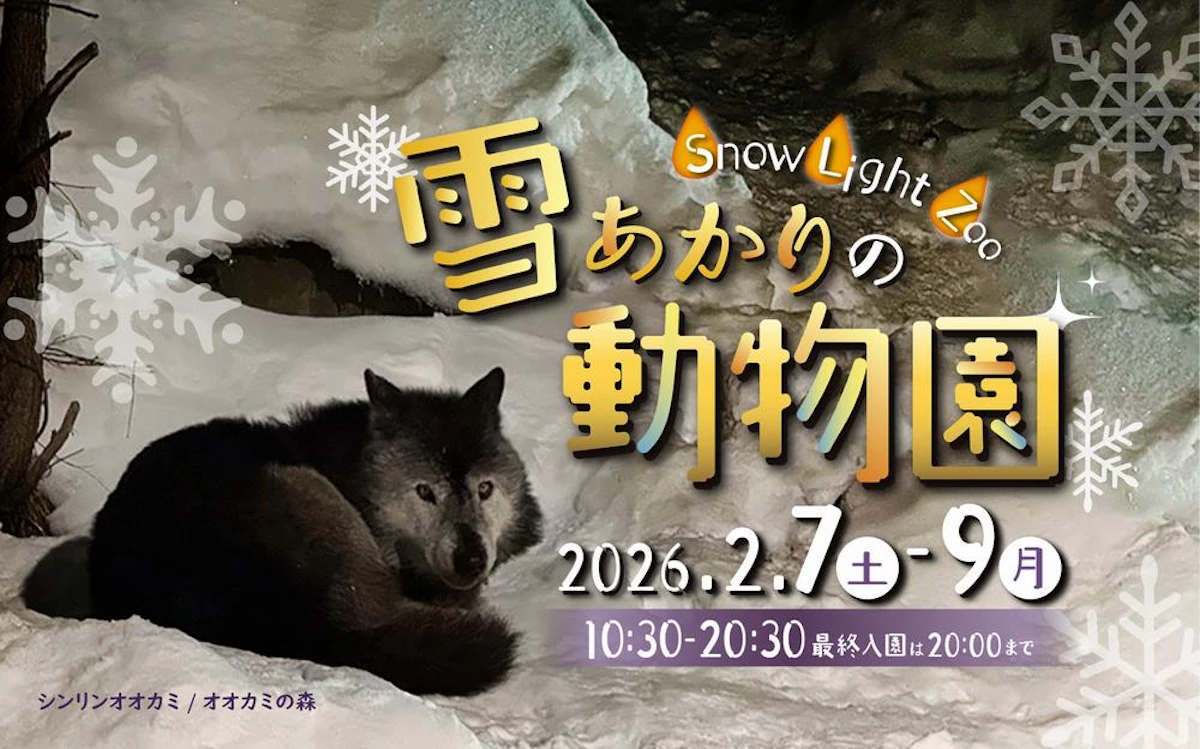 旭山動物園「雪あかりの動物園」2月7日〜9日開催。アイスキャンドルが園内を彩る冬の特別イベント