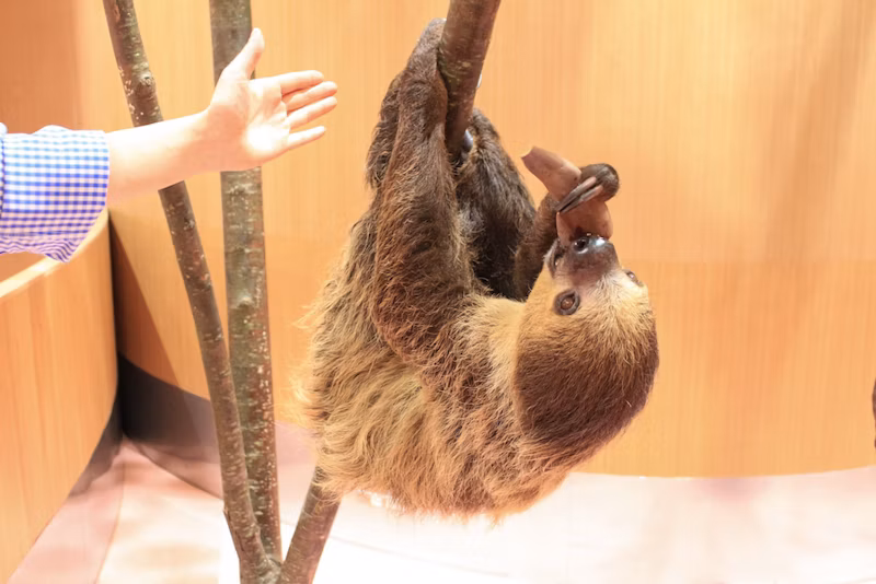 Moff animal cafe ららぽーと福岡店
