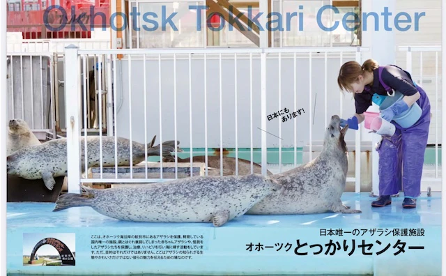 オホーツクとっかりセンター／『アザラシまるごとBOOK』より