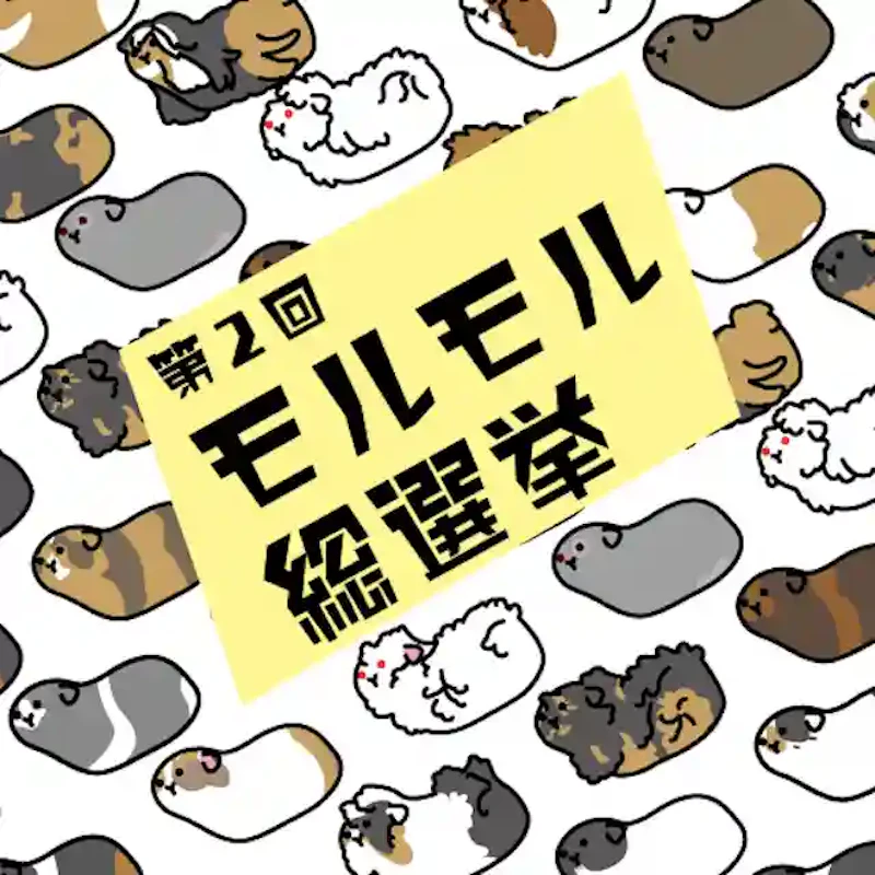 第2回モルモル総選挙