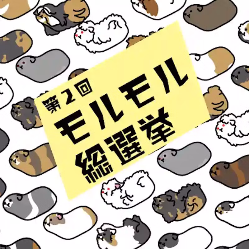 第2回モルモル総選挙