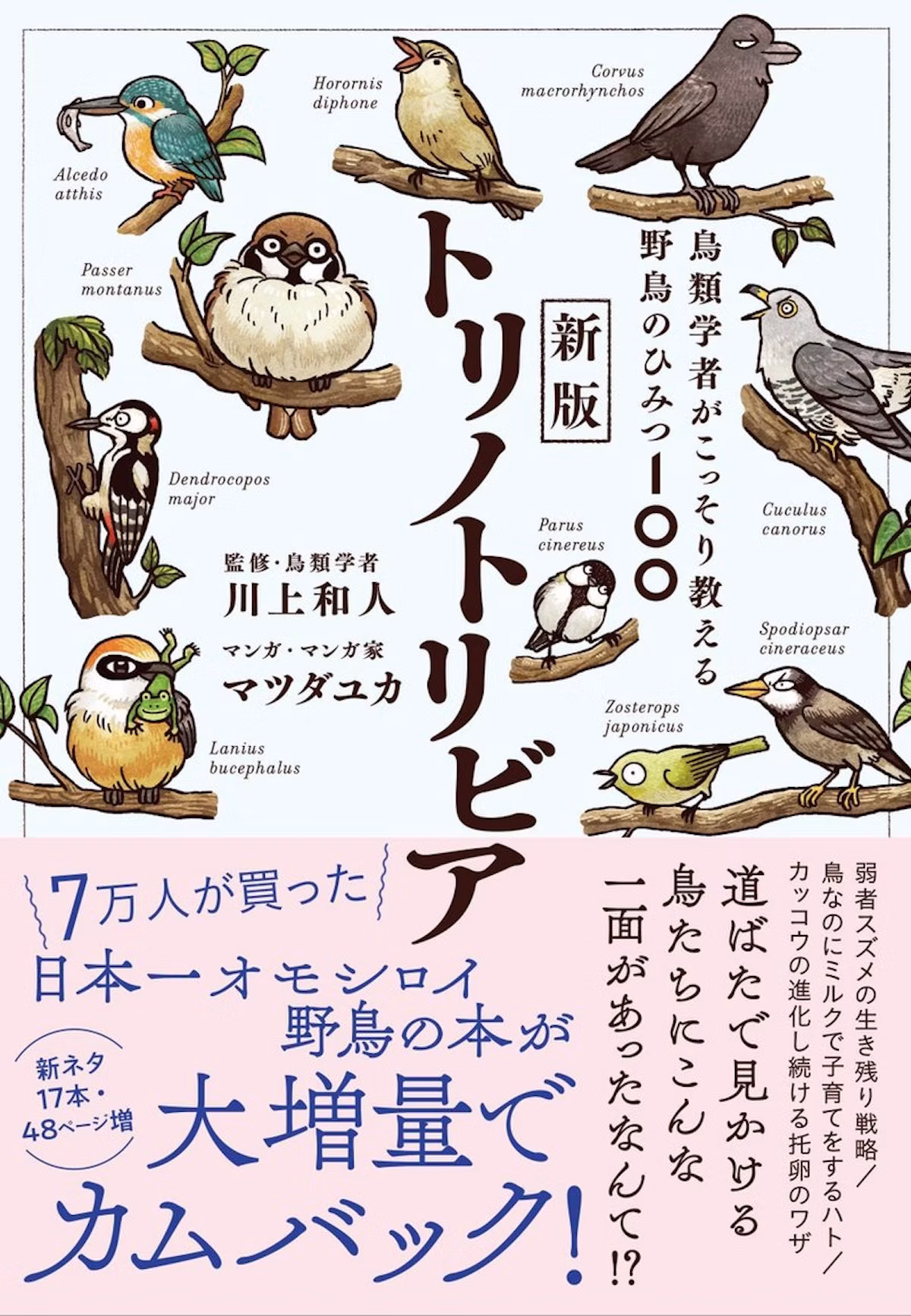 野鳥100種の生態を紹介『新版トリノトリビア』が7月6日発売